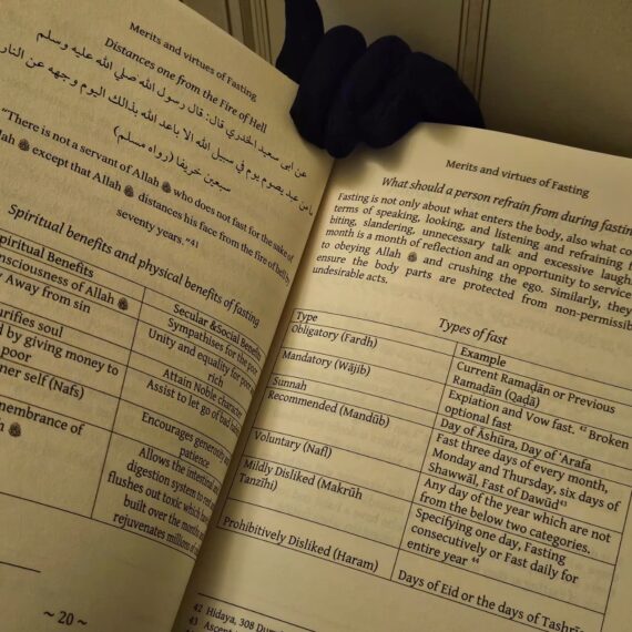 WhatsApp Image 2026 02 16 at 23.36.01